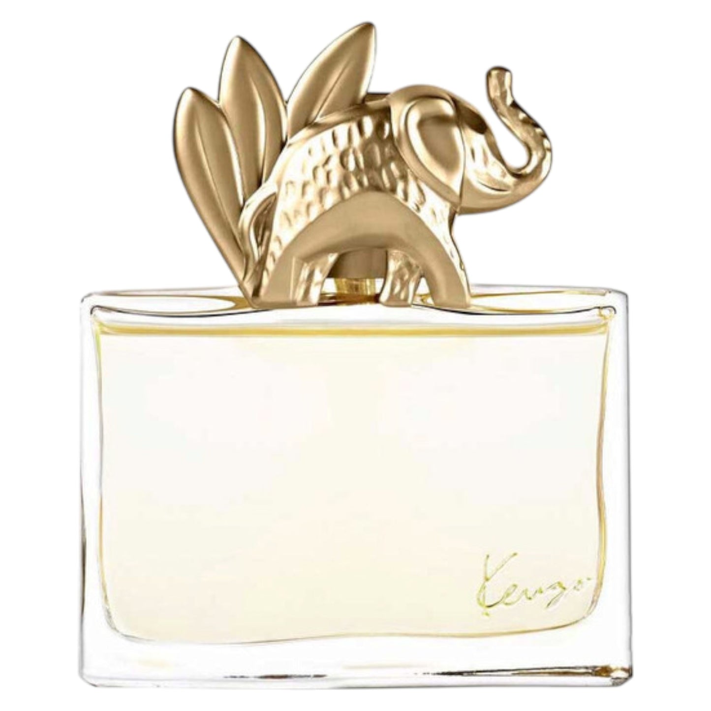Kenzo, Jungle L' Elephant , Eau De Parfum, naistele, 100 ml